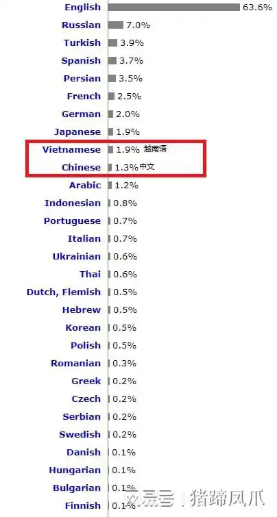 网页数量被越南语超越,中文互联网真的发达吗
