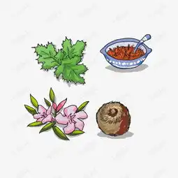 手绘艾草素材图片免费下载高清装饰图案png千库网图片编号7168491
