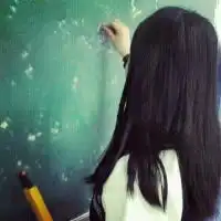我寄给你的情书
