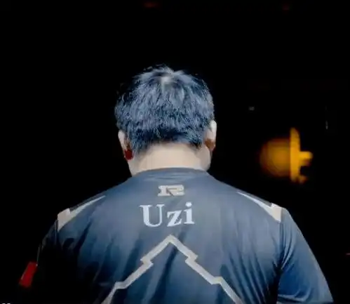 uzi退役,不是因为rng,也不是因为伤病,而是因为......
