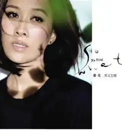 那英深圳演唱会订票那英2014深圳音乐会门票深圳流行音乐门票预订
