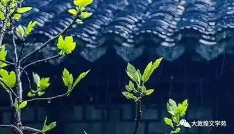 夏天里的春天
