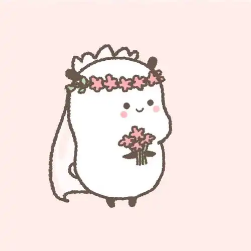 1收藏夹
