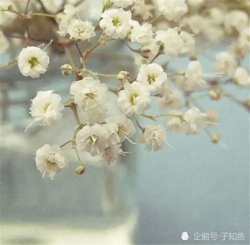 很适合做朋友的星座有时候,友谊比爱情更长久
