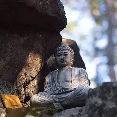 人生是自己的,不是给别人看的
