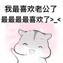 老公老婆文字表情包
