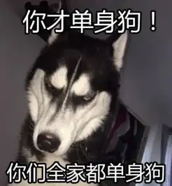 七夕虐狗图免费下载2016七夕情人节虐狗表情包高清无水印版腾牛下载
