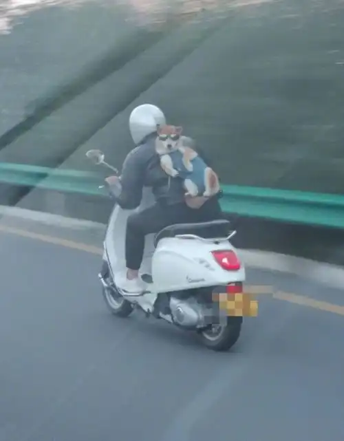 超宠溺timi师徒头像
