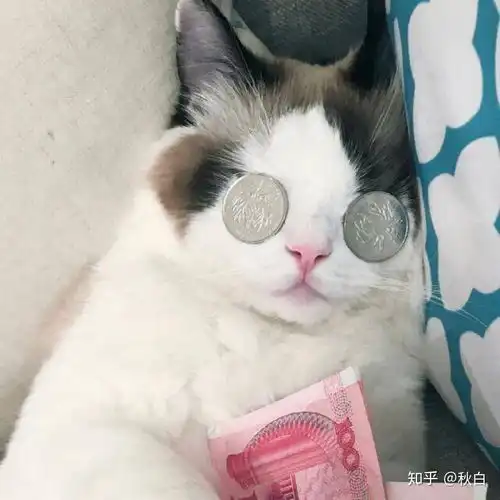 有没有那种看起来很乖巧又不失个性的微信头像
