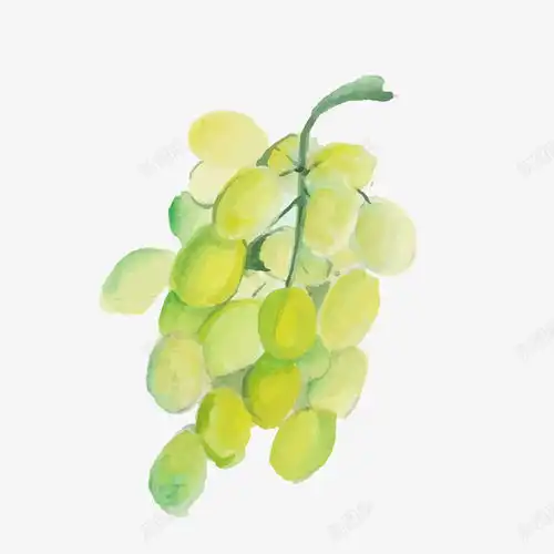 水彩绘青提高清素材设计图片页面网页平面电商创意素材卡通水果素材
