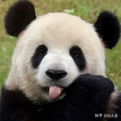 提升自己
