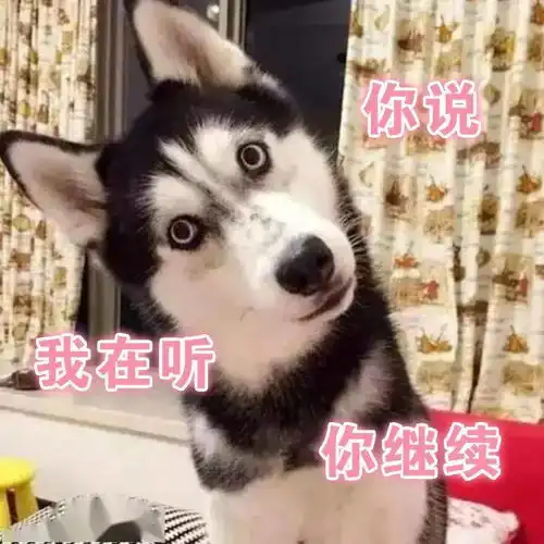 狗狗尿尿发朋友圈
