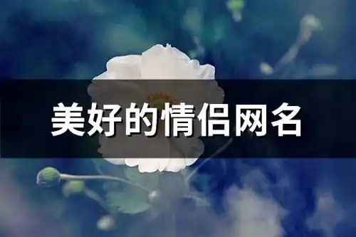 美好的情侣网名共151个
