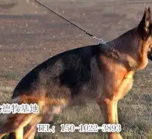 黄页88高清图片
