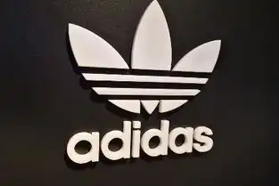 王彪简介,嘟嘟美甲创始人兼ceo王彪个人资料电商人物库
