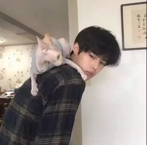 没有不变的承诺只有说不尽的谎言
