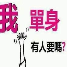 七夕出租男友
