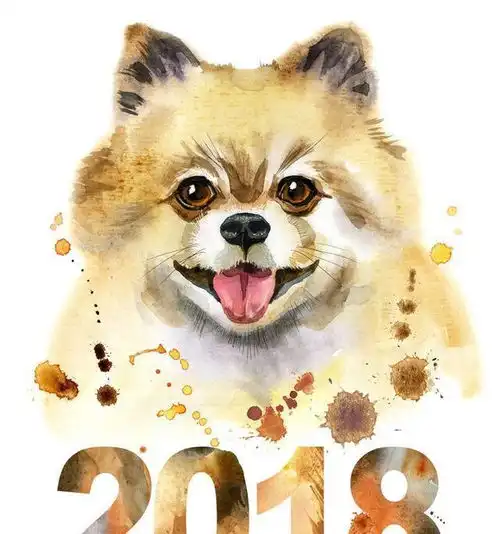 徐州十三中虐狗事件爱狗人士,爱狗不是耍流氓的借口
