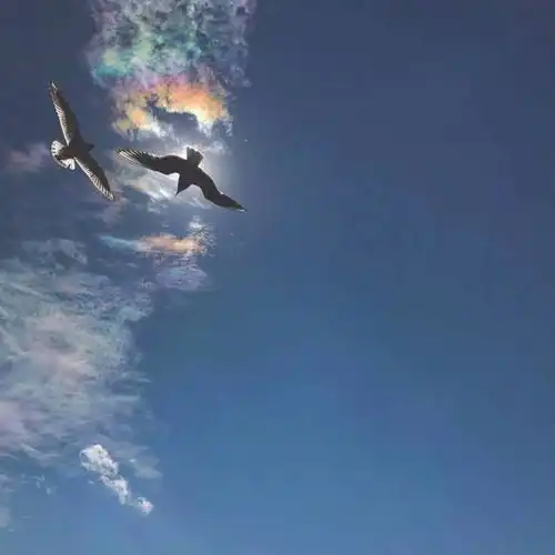 你们多久换一次背景图
