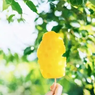 澳门全沙官网
