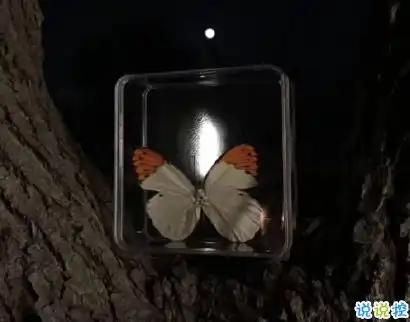 朋友圈伤感文案带图片唯美伤感的文案句子
