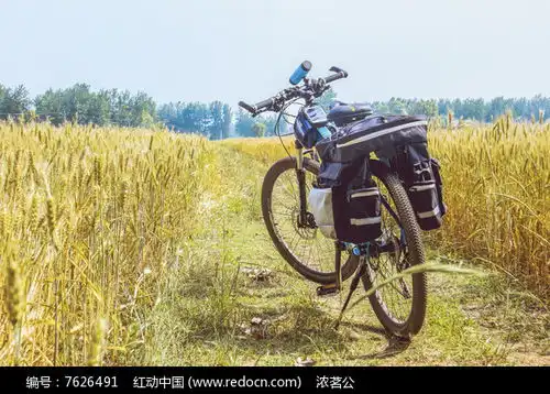 美利达挑战者300麦田骑行高清图片下载红动网
