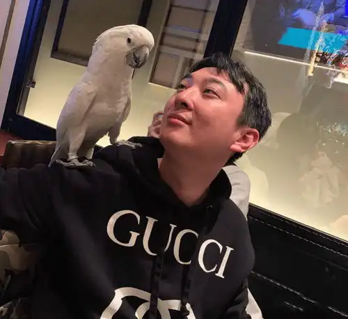 王思聪赔了夫人又折兵给三百万仍停不下,黄一鸣晒婚纱照野心大

