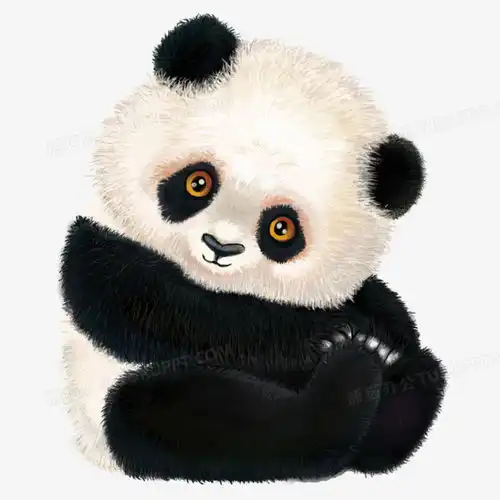 卡通手绘插画风熊猫免抠元素png图片素材下载手绘png熊猫办公
