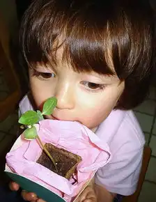 谁扼杀了孩子纯真的想象力
