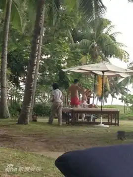 高虎旧照曝光揽比基尼美女海边度假推油按摩
