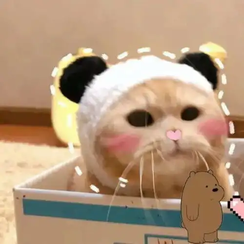 cp头像吃货必备搞笑美食文案
