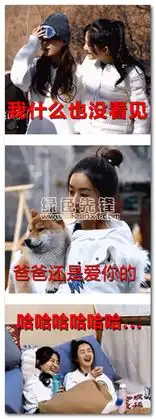 赵丽颖蘑菇屋狂甩表情包赵丽颖蘑菇屋超萌表情图片下载绿色中文版软件下载
