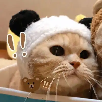 vb橘猫沙梨sally
