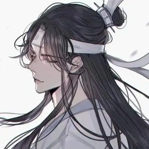 蓝忘机日复一日,年复一年等待的第四年
