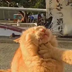 为你准备的七夕情侣头像和壁纸
