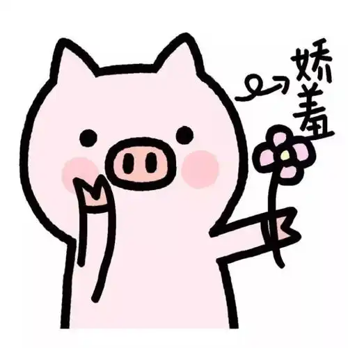 元旦晚会盛况空前这次不是别人家的
