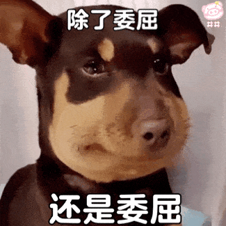 我是你老公,不是你司机杭州女子接送老婆很过分吗
