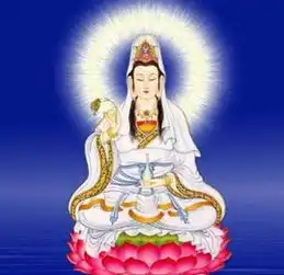 个人动态
