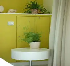 窝居家具全线升级为e0级环保材质
