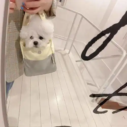 生而为人,我很抱歉
