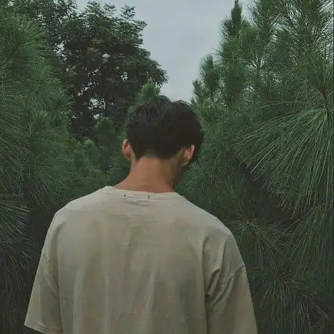 我为什么还没有离开上海

