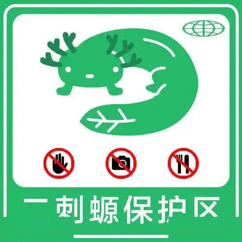 互联网专用标识了解一下
