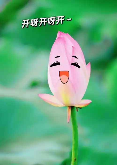 ta们,想开了
