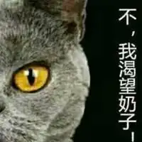很皮很搞笑的头像又皮有逗逼的带字图
