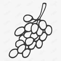 线描一串葡萄素材图片免费下载高清png千库网图片编号8740892
