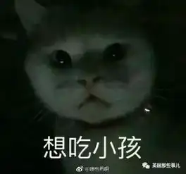 猫的崩坏丑照大赛虽然长得丑,但是有人爱啊
