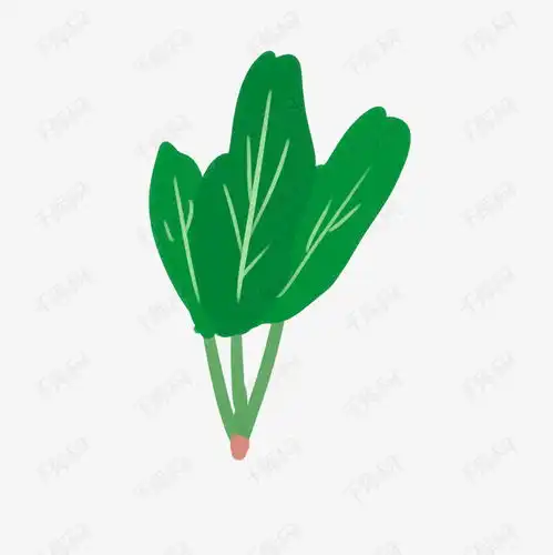 卡通手绘蔬菜装饰海报设计菠菜素材图片免费下载千库网
