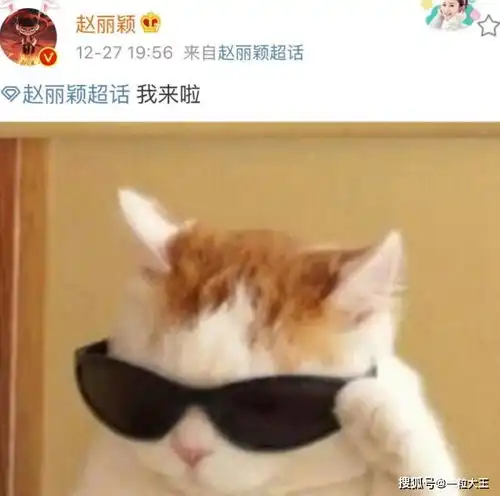 赵丽颖又低调连续发文,有谁关注到她帽子尽显勤俭节约好习惯
