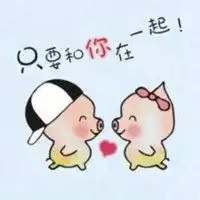 公猪母猪情侣头像卡通可爱卖萌一对微信头像图片大全
