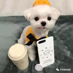 个性网头像控,换个头像,换个心情
